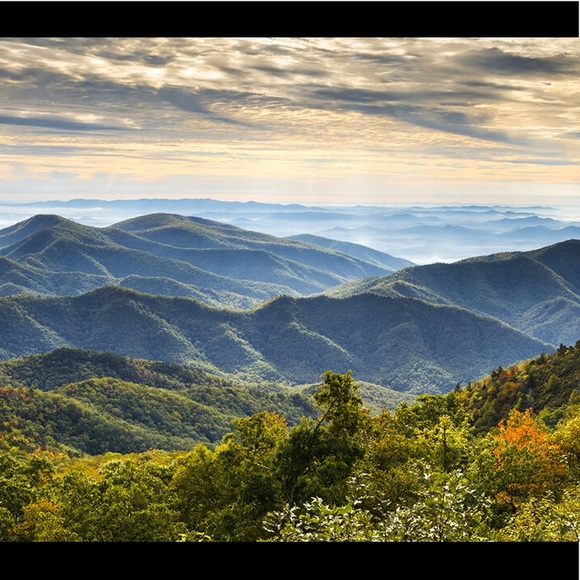 Meet your Posher, Danielle - Picture 2 of 3